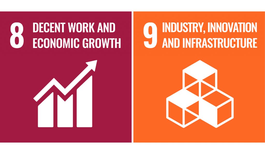 Sustainable Development Goals. Goal 8 - Decent Work and Economic Growth, Goal 9 - Industry, Innovation and Infrastructure.