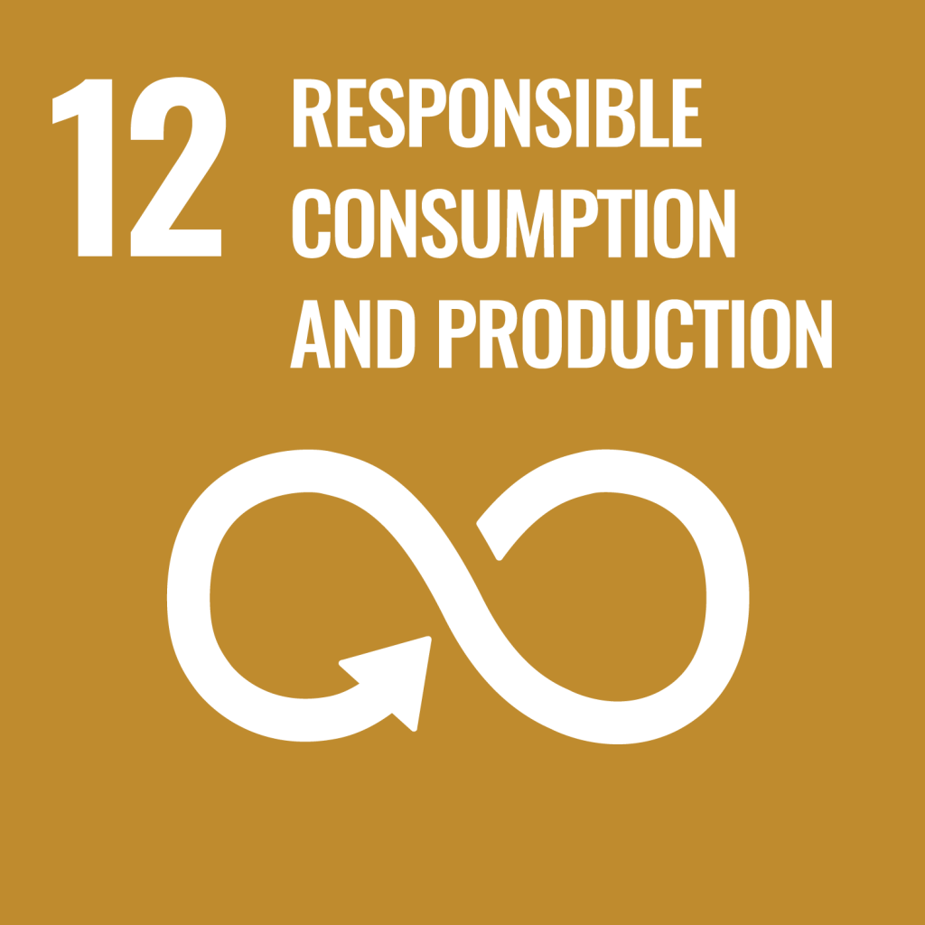 Brown icon with an infinity loop symbol representing UN Sustainable Development Goal 12 – Responsible Consumption and Production.