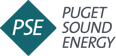 PSE Up & Electric Program